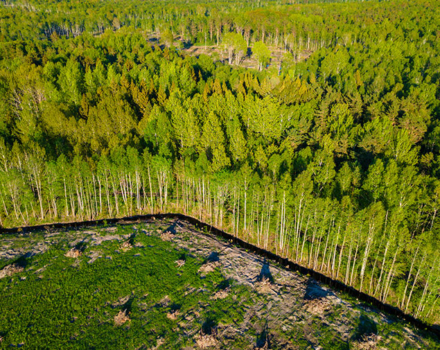 Agrar- und Forstwirtschaft